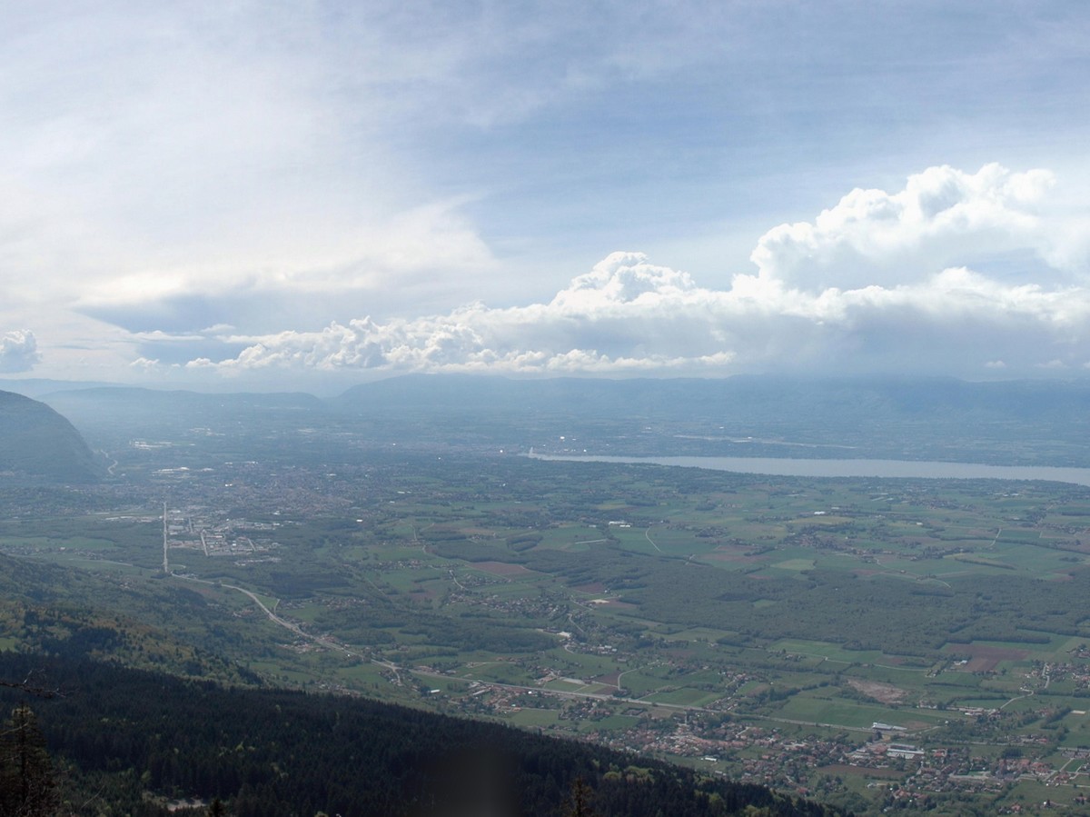 Localisation