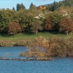 Lac de Machilly 9